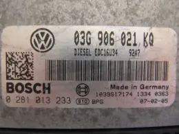 0281013233 блок управления ECU Volkswagen Golf V 2006