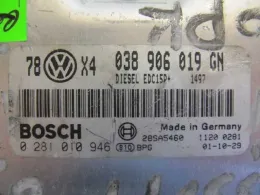 038906019GN блок управления ECU Volkswagen PASSAT B5.5 2005