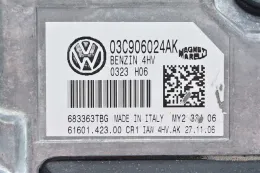 Блок управления 03C906024AK leon 1.4 iaw4hv.ak