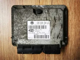 036906034JC блок управления ECU Volkswagen Polo 2005