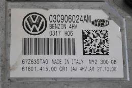 03C906024AM блок управления ECU Volkswagen Caddy 2005