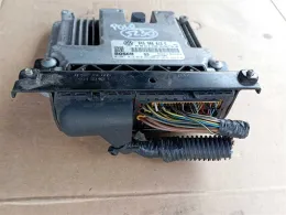 0281013010 блок управління ECU Volkswagen PASSAT B5.5 2002