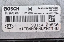 Блок управления 0281016872 ceed 1.6 crdi 39114-2a560