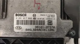 Блок управления 39101-2F570 kia sportage iii 2.0 crdi