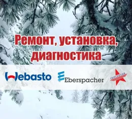 Блок підігрівача двс Webasto