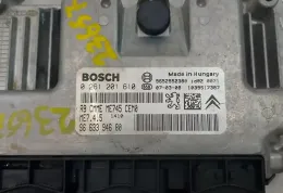 1039S173987 блок управління ECU Peugeot 307 2007