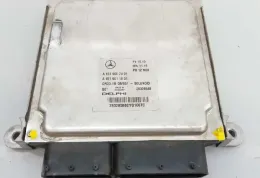 E3A113 блок управления ecu Mercedes-Benz E C207 W207 2009