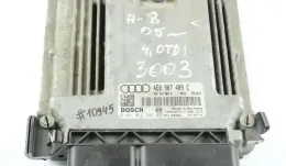 4E0910409H блок управления двигателем Audi A8 S8 D3 4E 2005