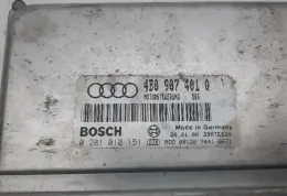 28RTE620 блок управління двигуном Audi A6 S6 C5 4B 1997