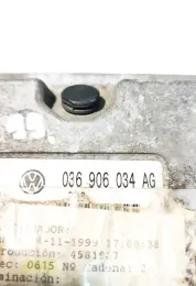 036906034AG блок управління ECU Volkswagen Polo 2004