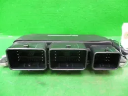 NEC004828 блок управления двигателем Nissan