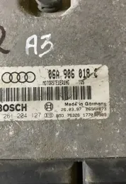 96S60873 блок управления двигателем Audi A3 S3 8L 1999