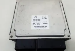 Блок управления двигателем A6519007600 mercedes w117 w176 w246 ecu