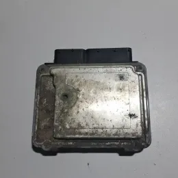 1039S14975 блок управления ECU Skoda Octavia Mk2 (1Z) 2004