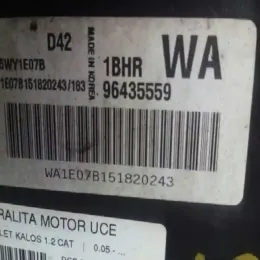 WA1E07B151820243 блок управління ECU Chevrolet Aveo 2004