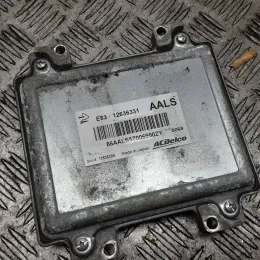 86AALS57006900ZY блок управления ECU Opel Insignia A 2010