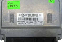 06B906033AM блок управления ECU Volkswagen PASSAT B5.5 2001