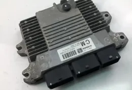 DEA010110 блок управления ECU Nissan Juke I F15 2011