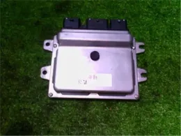 23710CZ20A блок управления двигателем Nissan Wingroad