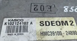 3910024890 блок управления ECU Renault Scenic II - Grand scenic II 2005