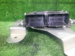 237403NK1C блок управления двигателем Nissan Leaf