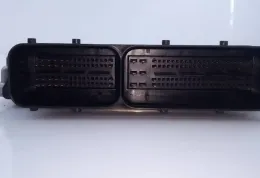 E2-A1-38-5 блок управления ECU Volkswagen Tiguan 2008