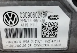 119743 блок управления ECU Seat Ibiza IV (6J,6P) 2008