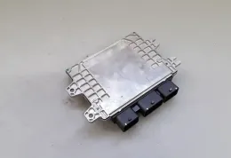 MEV01134A12606 блок управління ECU Nissan Leaf I (ZE0) 2013