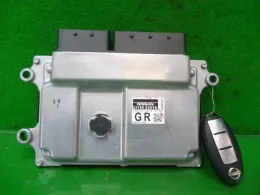 237405SK9C блок управления двигателем Nissan Leaf