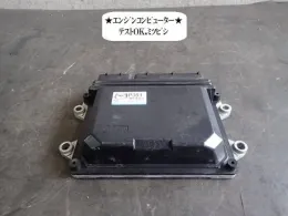 P30118881E блок керування двигуном до Mazda Demio