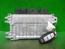 NEC006861 блок управления двигателем Nissan