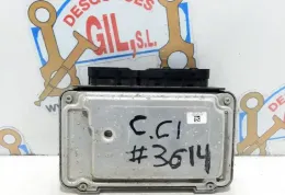 125662 блок управления ECU Citroen C1 2005