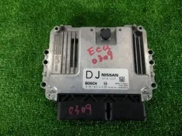 23710VZ24E блок управления двигателем Nissan