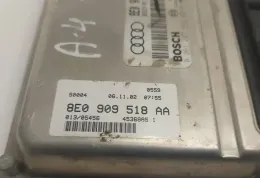 013205456 блок управления ecu Audi A4 S4 B6 8E 8H 2004