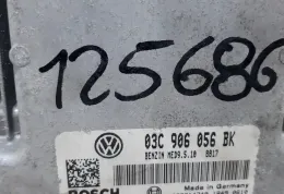 125686 блок управления ECU Volkswagen Touran I 2003