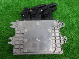 MEV01113 блок управления двигателем Nissan