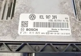 NR9514 блок управления ECU Volkswagen PASSAT B6 2009