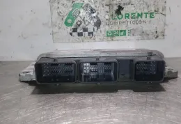 7158896294 блок управления ECU Renault Megane II 2008