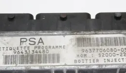 9643134480 блок управления ECU Peugeot 306 2002