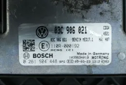 03C906021 блок управління ECU Volkswagen PASSAT B6 2010