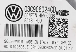 96L36WW1M блок управления ECU Seat Ibiza IV (6J,6P) 2008