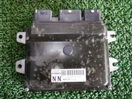 23710CY02A блок управления двигателем Nissan
