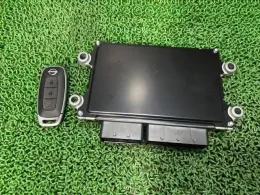 1149001003 блок керування двигуном до Nissan