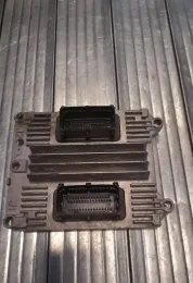 24222136 блок управления ECU Opel Signum 2003