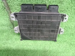 NEC020060 блок управления двигателем Nissan