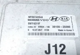 3910025080 блок управления двигателем Hyundai Sonata 2009