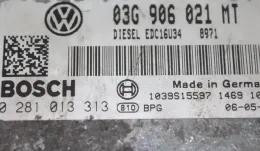 0281013313 блок управления ECU Volkswagen PASSAT B6 2005