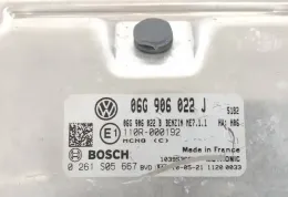 0261S05667 блок управления ECU Volkswagen Caddy 2010