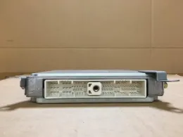 23710WD304 блок управления двигателем Nissan