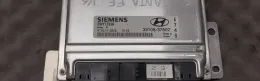 K1011035 блок управления двигателем Hyundai Santa Fe 2001 - фото